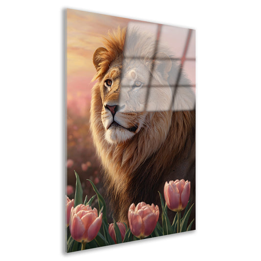Nobele Leeuw in Tulpenveld bij Zonsondergang Acrylglas