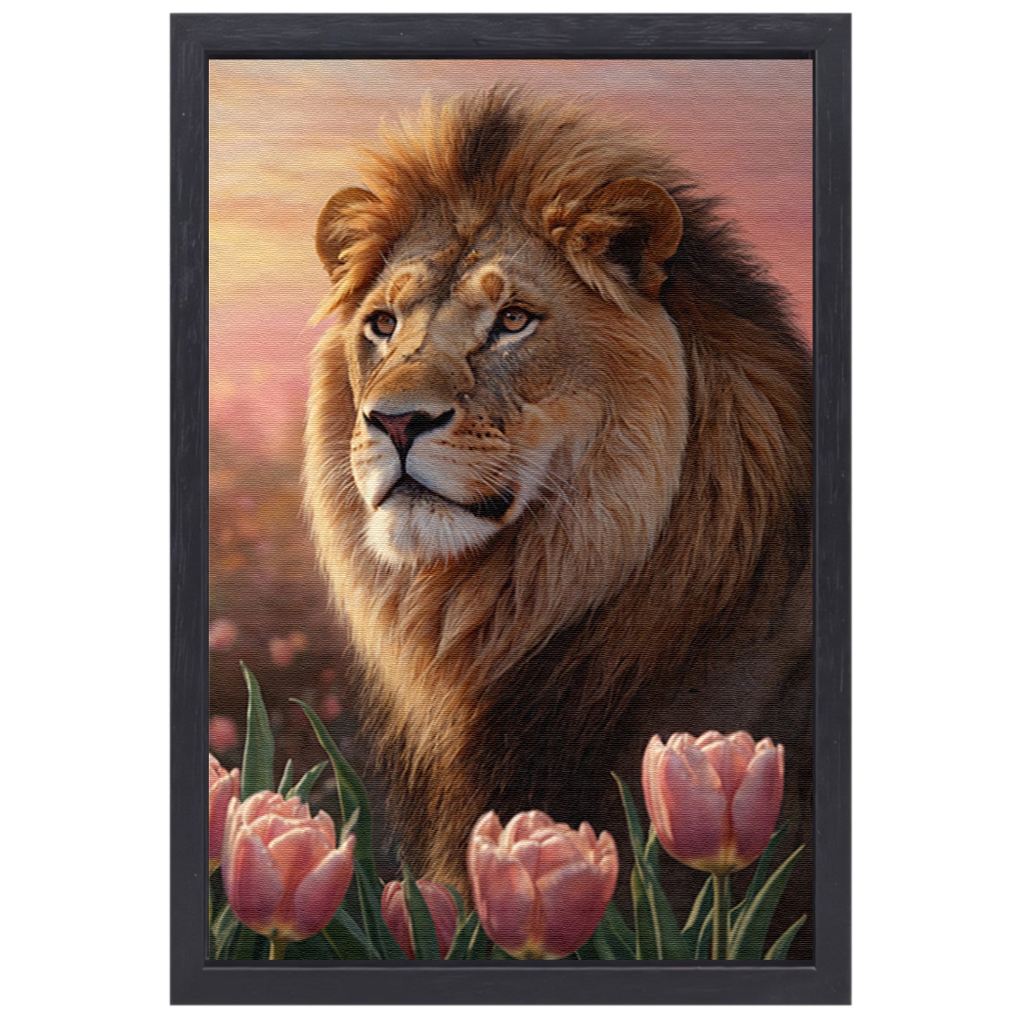 Nobele Leeuw in Tulpenveld bij Zonsondergang canvas met baklijst