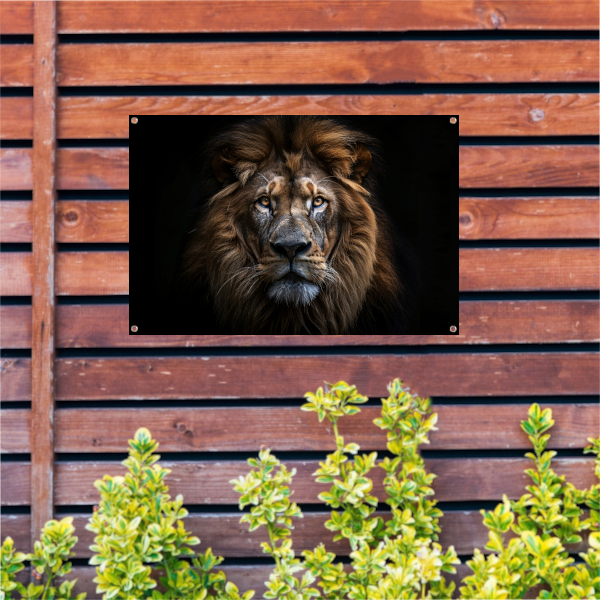 De trotse blik van de koning der dieren tuinposter