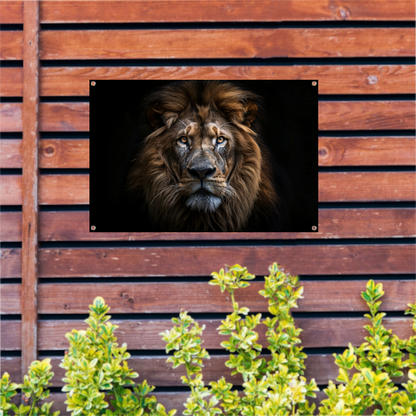 De trotse blik van de koning der dieren tuinposter