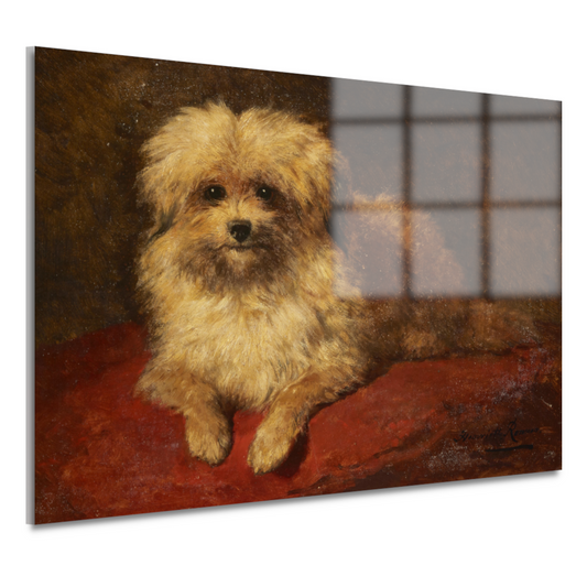 Liggend hondje - Henriëtte Ronner-Knip acrylglas