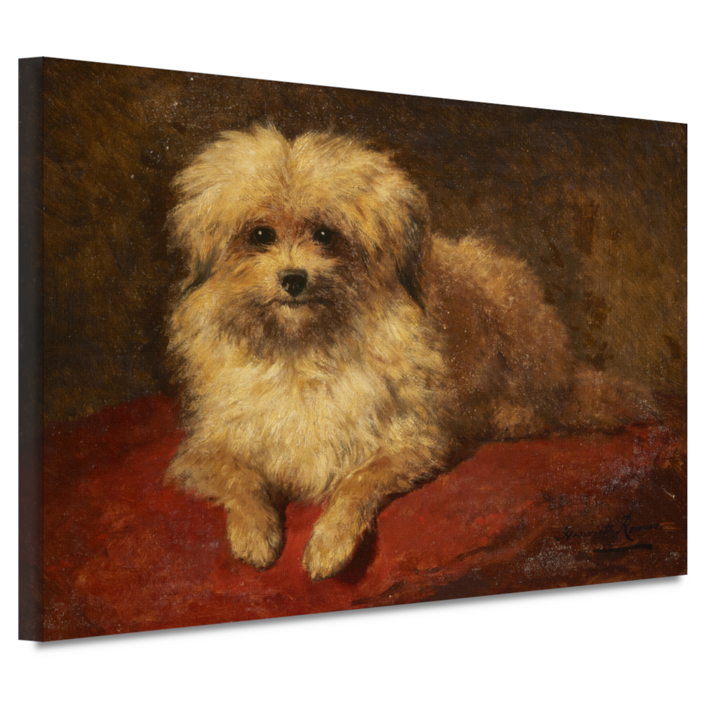 Liggend hondje - Henriëtte Ronner-Knip canvas