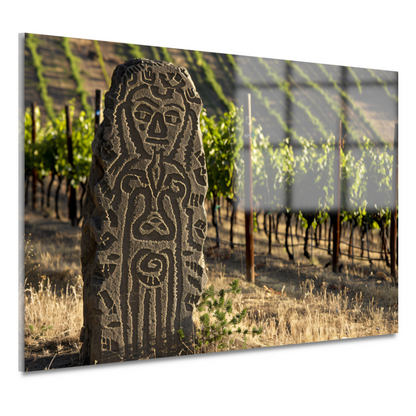 Antieke Sculptuur Omringd door Wijngaard Groen acrylglas