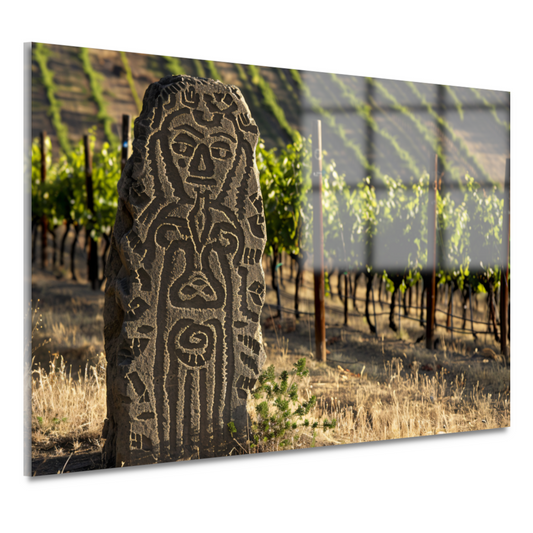 Antieke Sculptuur Omringd door Wijngaard Groen acrylglas