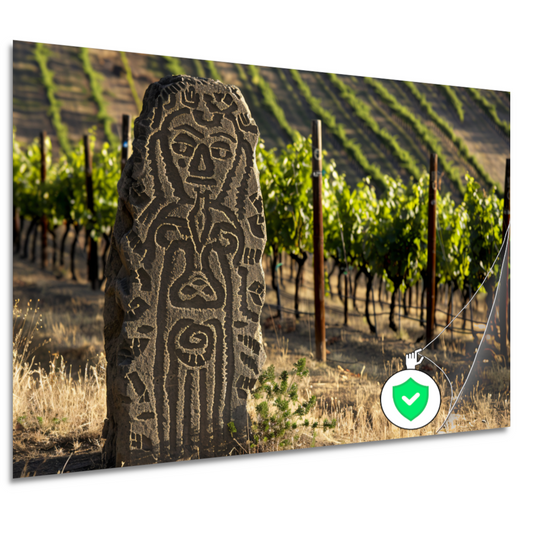 Antieke Sculptuur Omringd door Wijngaard Groen poster
