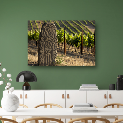 Antieke Sculptuur Omringd door Wijngaard Groen acrylglas