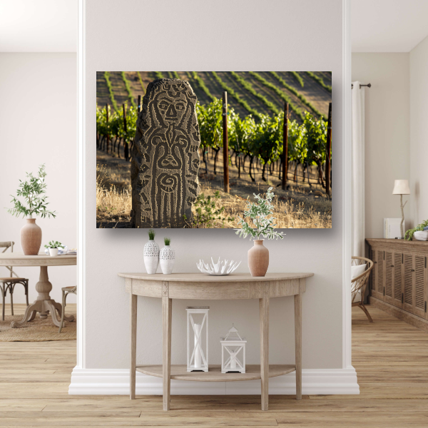 Antieke Sculptuur Omringd door Wijngaard Groen acrylglas