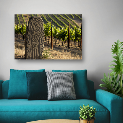 Antieke Sculptuur Omringd door Wijngaard Groen acrylglas