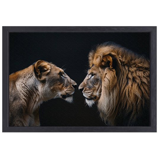 Leeuw en leeuwin in intense ontmoeting canvas met baklijst