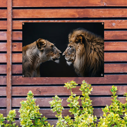 Leeuw en leeuwin in intense ontmoeting tuinposter