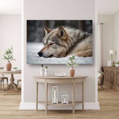 Slapende wolf in een besneeuwd landschap canvas met baklijst