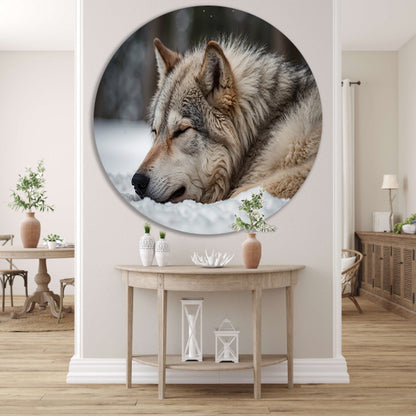 Slapende wolf in een besneeuwd landschap aluminium muurcirkel