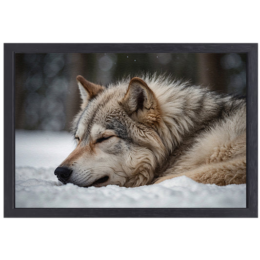 Slapende wolf in een besneeuwd landschap canvas met baklijst