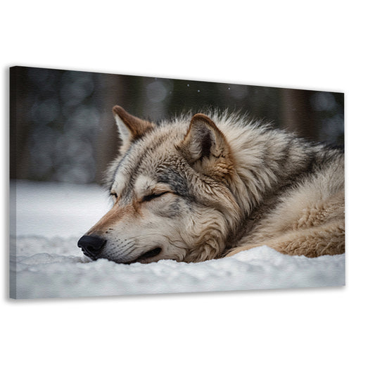 Slapende wolf in een besneeuwd landschap canvas