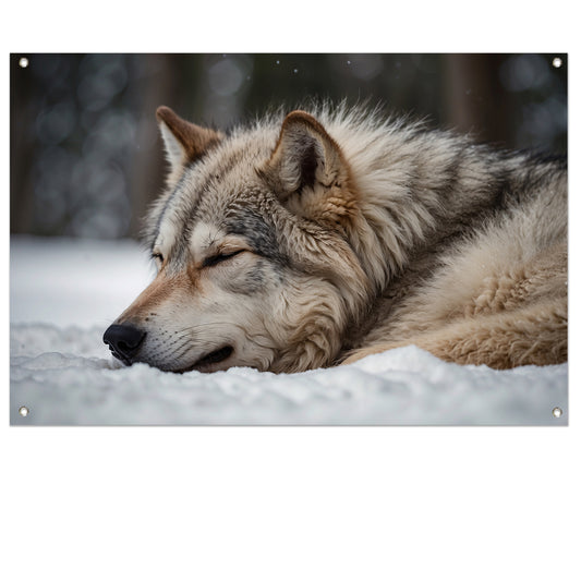 Slapende wolf in een besneeuwd landschap tuinposter