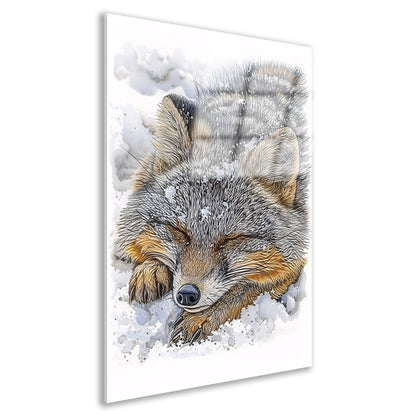Gedetailleerd schilderij van een slapende vos acrylglas