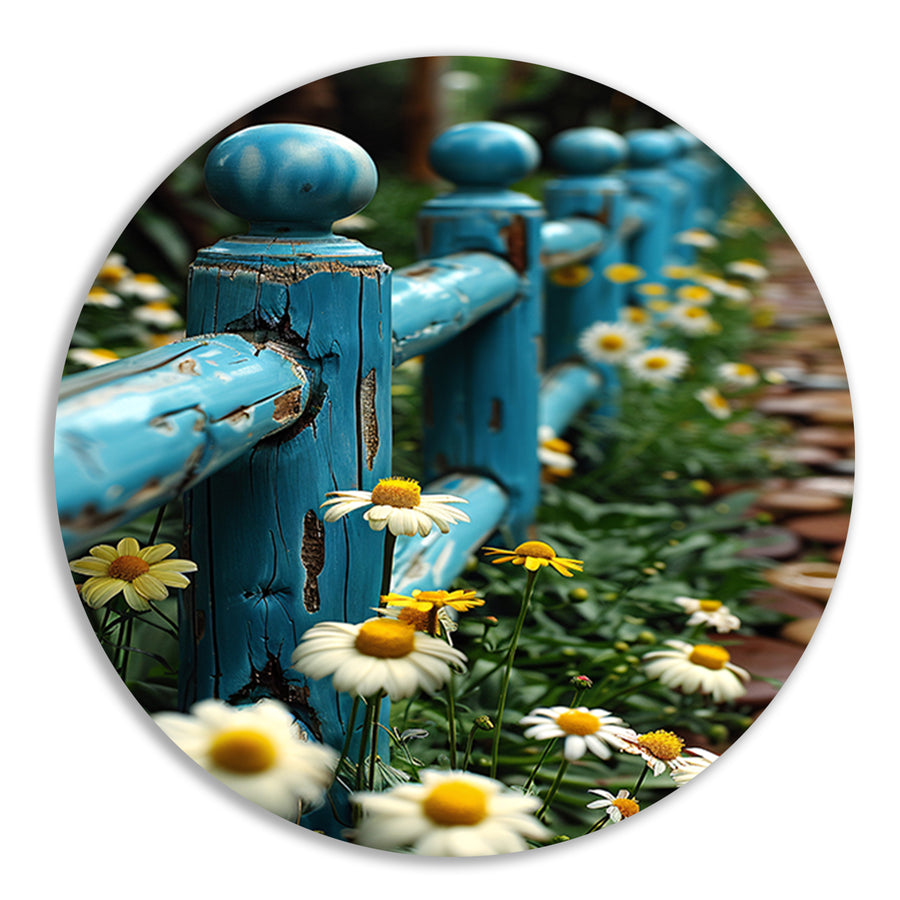 Blauw verweerd hek met margrieten in tuin aluminium muurcirkel