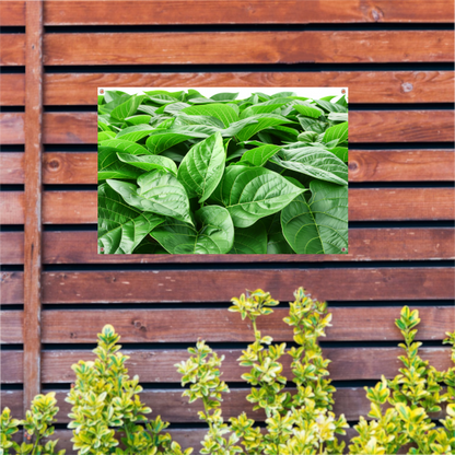 Bladergroen tuinposter
