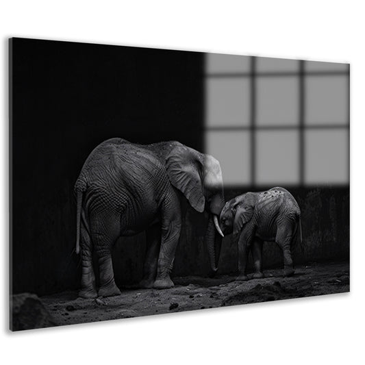 Zwart-wit olifanten moeder en kalf kunst acrylglas