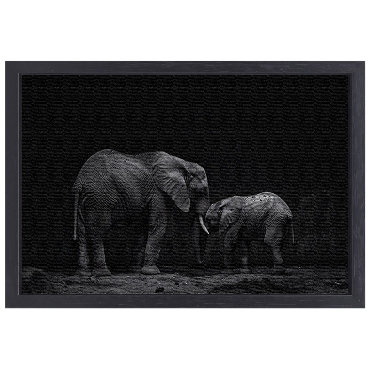 Zwart-wit olifanten moeder en kalf kunst canvas met baklijst
