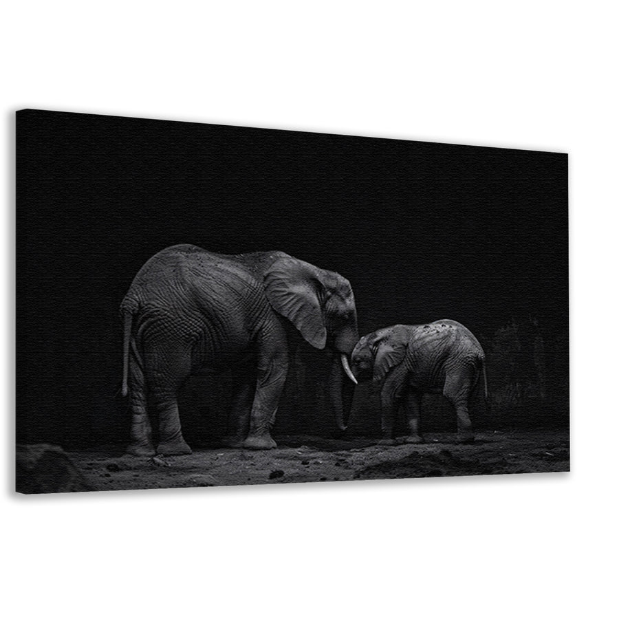 Zwart-wit olifanten moeder en kalf kunst canvas