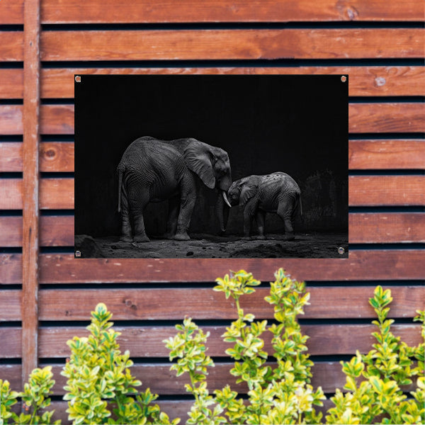 Zwart-wit olifanten moeder en kalf kunst tuinposter