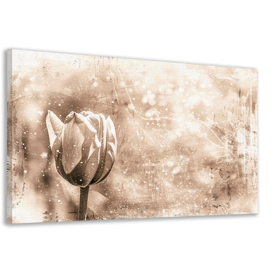 Minimalistische sepia lijntekening van tulp canvas