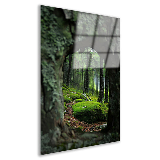 Doorkijkje naar een Mossig Bos acrylglas