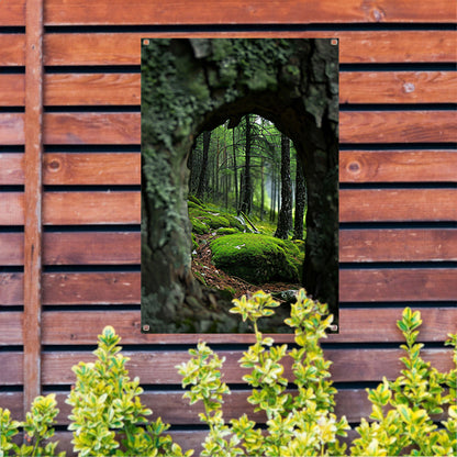 Doorkijkje naar een Mossig Bos tuinposter