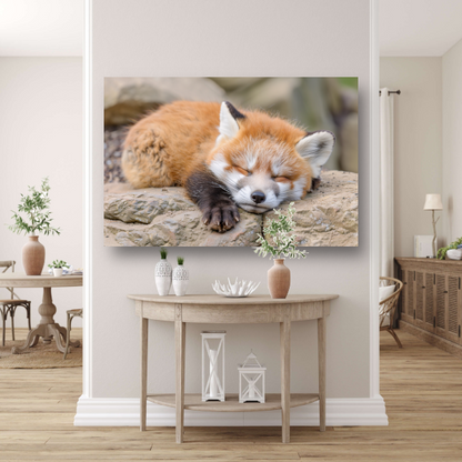 Ontspannende Rode Vos in Natuurlijke Habitat canvas