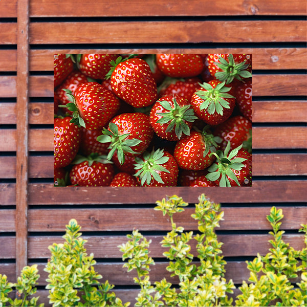 Schaal vol aardbeien tuinposter