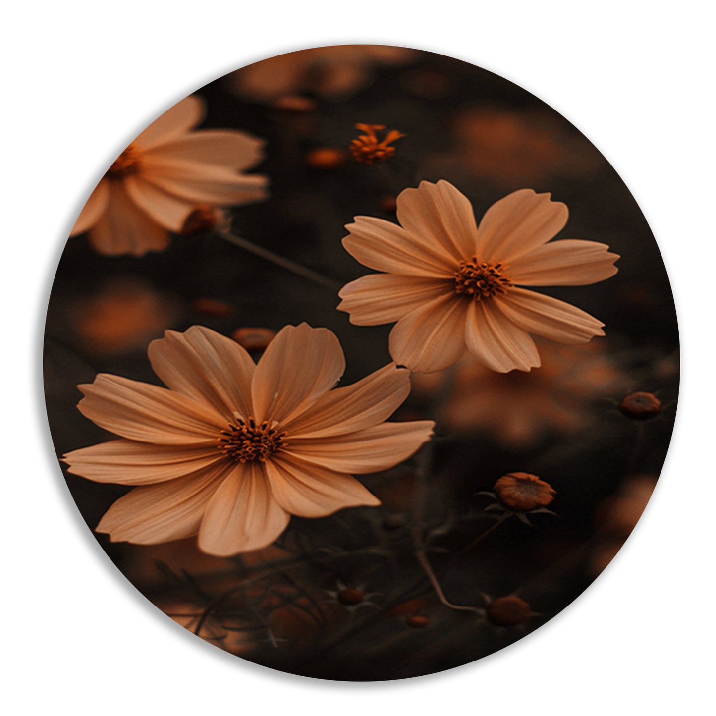 Close-up van bruine bloemen in de schemering aluminium muurcirkel