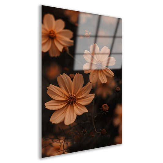 Close-up van bruine bloemen in de schemering acrylglas