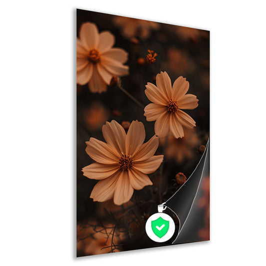 Close-up van bruine bloemen in de schemering poster