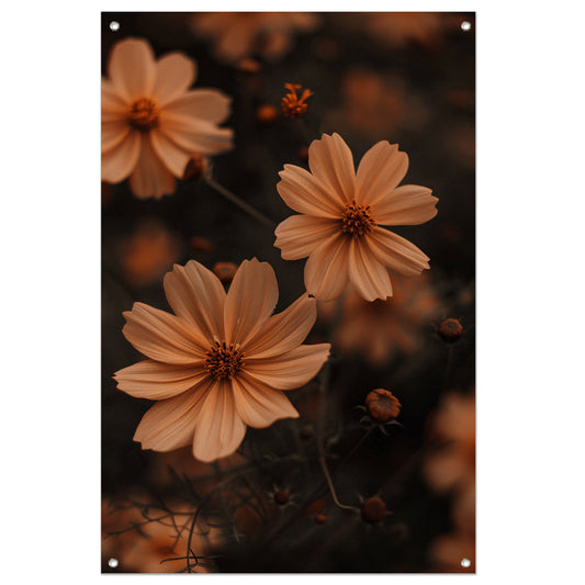 Close-up van bruine bloemen in de schemering tuinposter