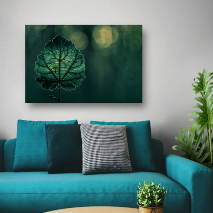 Gedetailleerde bladnerven in een verlicht schaduwspel canvas