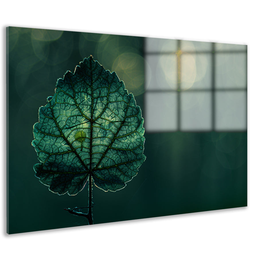 Gedetailleerde bladnerven in een verlicht schaduwspel acrylglas
