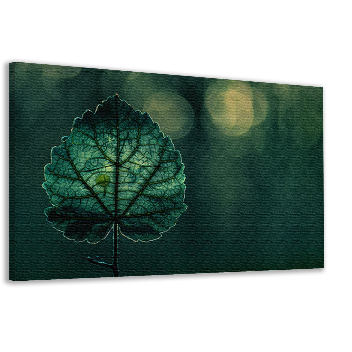 Gedetailleerde bladnerven in een verlicht schaduwspel canvas