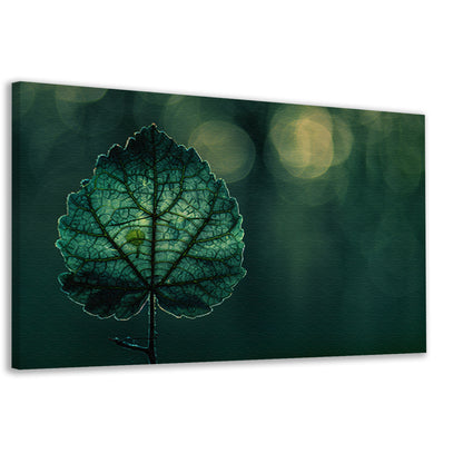 Gedetailleerde bladnerven in een verlicht schaduwspel canvas