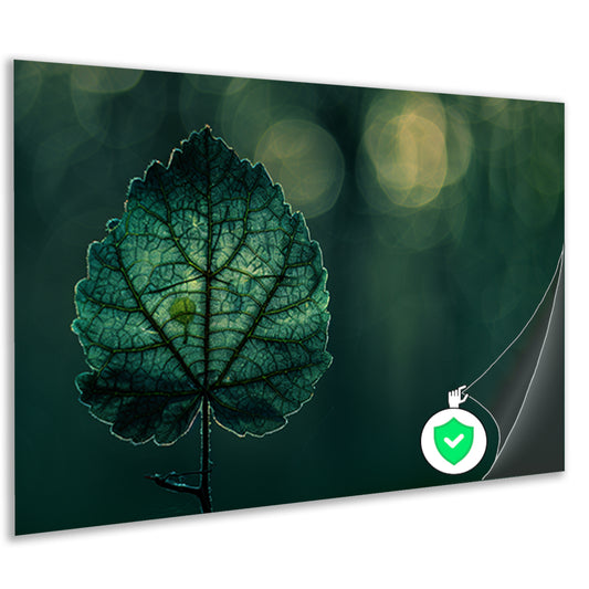 Gedetailleerde bladnerven in een verlicht schaduwspelposter