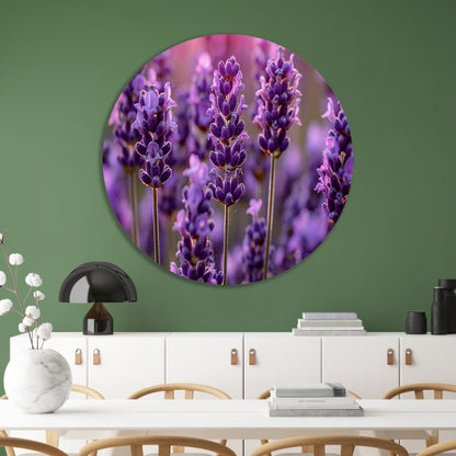 Close-up van lavendelbloemen in zachte zonneschijn forex muurcirkel