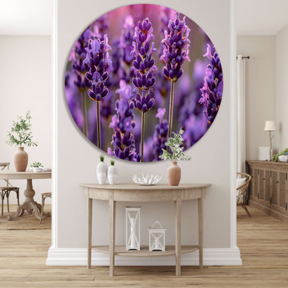 Close-up van lavendelbloemen in zachte zonneschijn forex muurcirkel