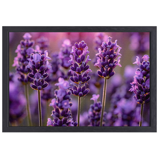 Close-up van lavendelbloemen in zachte zonneschijn canvas met baklijst