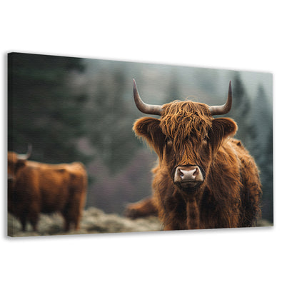 Schotse Hooglander in mistig boslandschap canvas