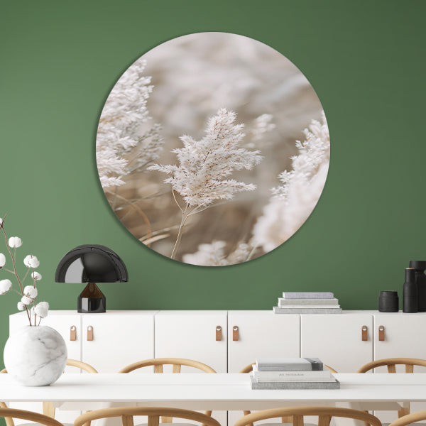 Zachte Witte Pluim in Focus forex muurcirkel