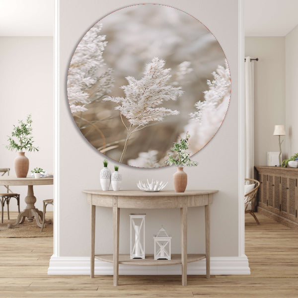 Zachte Witte Pluim in Focus forex muurcirkel