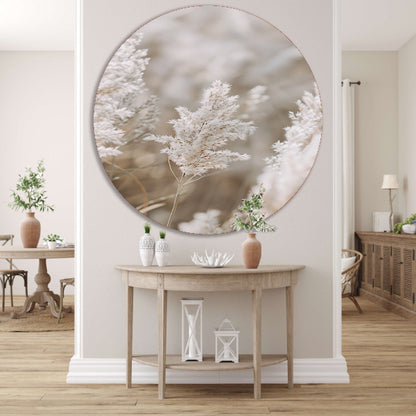 Zachte Witte Pluim in Focus forex muurcirkel