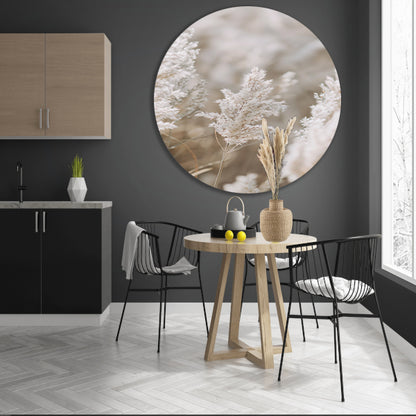 Zachte Witte Pluim in Focus forex muurcirkel