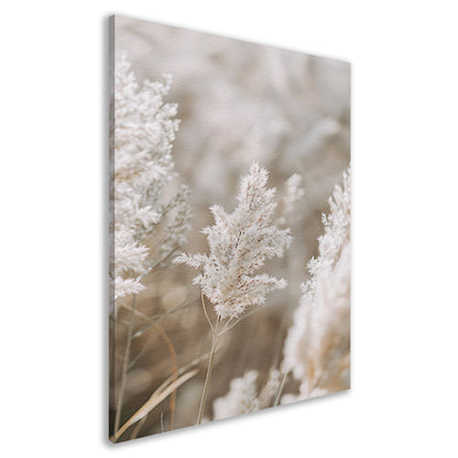 Zachte Witte Pluim in Focus canvas