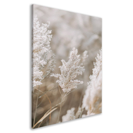 Zachte Witte Pluim in Focus canvas